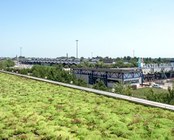GREEN ROOFS PROJECT
