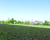 GREEN ROOFS PROJECT