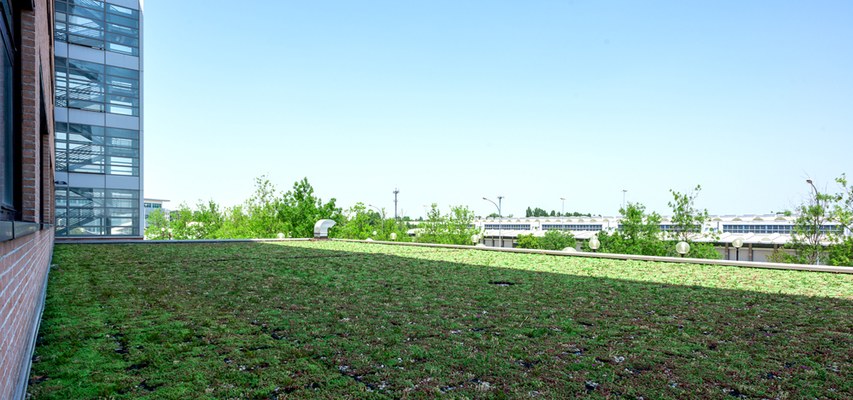 GREEN ROOFS PROJECT