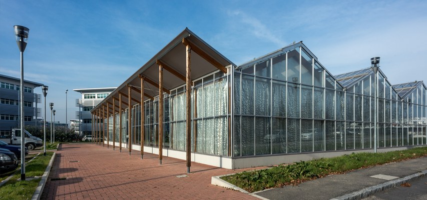 GREENHOUSES – EXTERIOR