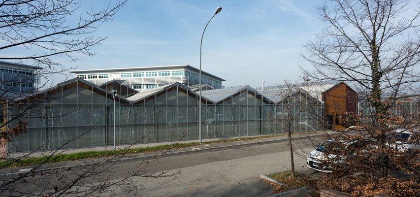 GREENHOUSES – EXTERIOR