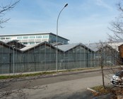 GREENHOUSES – EXTERIOR