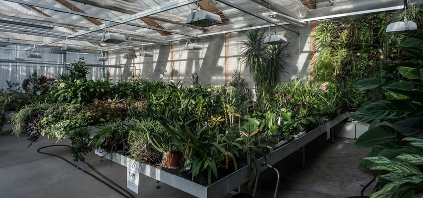 GREENHOUSES – INTERIOR