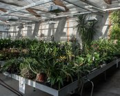 GREENHOUSES – INTERIOR