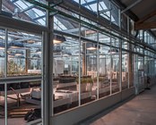 GREENHOUSES – INTERIOR
