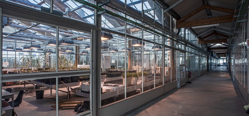 GREENHOUSES – INTERIOR