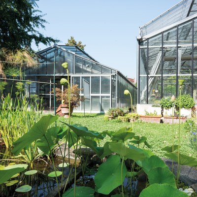 GREENHOUSES IN THE BOTANICAL GARDEN