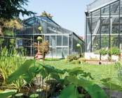 GREENHOUSES IN THE BOTANICAL GARDEN