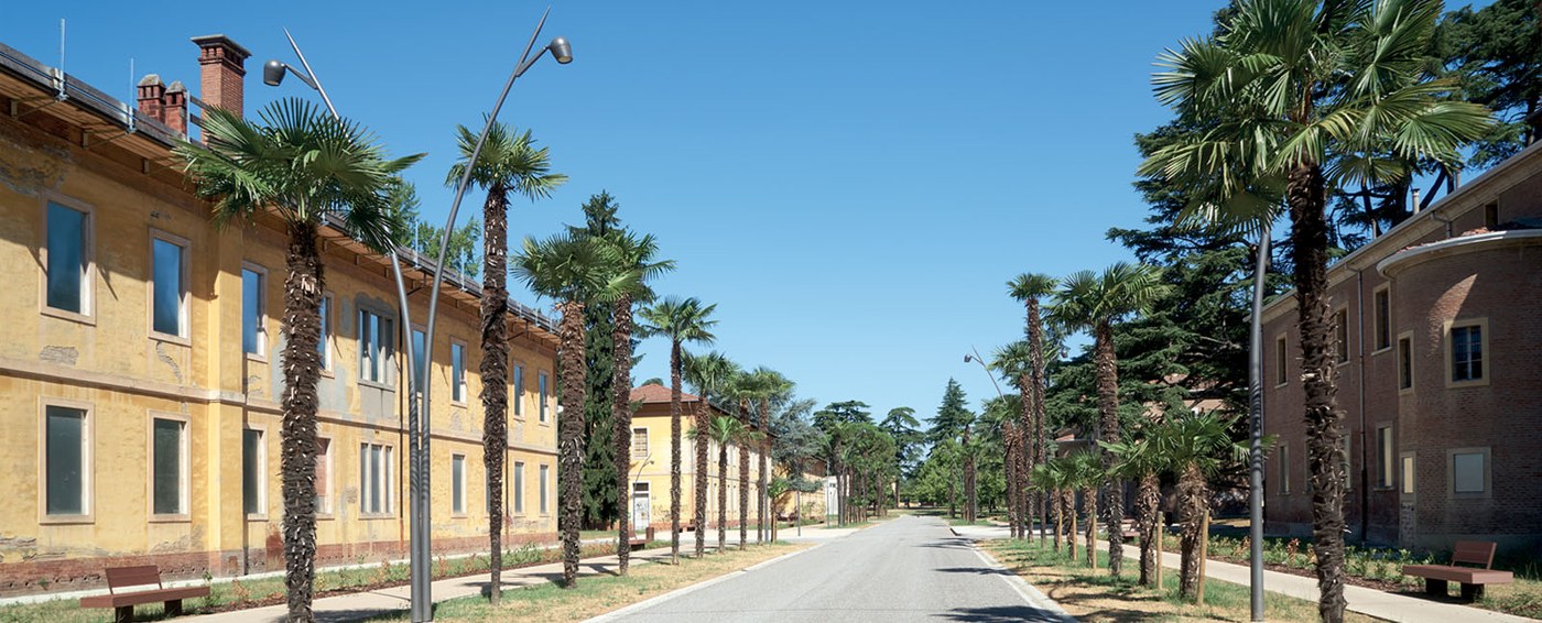 Plesso Imola