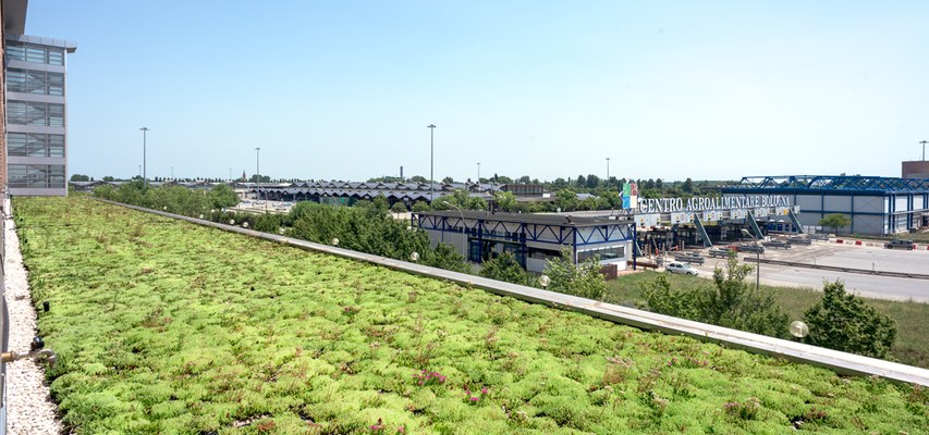 Progetto Tetti verdi